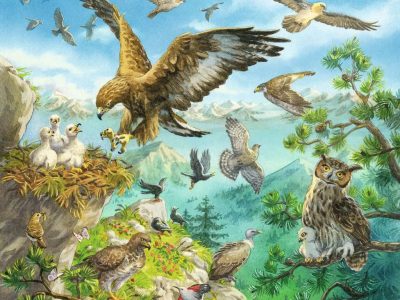 PUZZLE RAVENSBURGER 3X49 ŽIVALI V NARAVNEM OKOLJU - Image 3