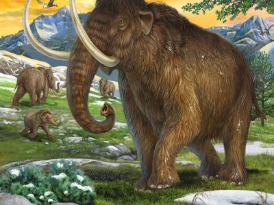 PUZZLE RAVENSBURGER 3X49 IZ PRADAVNINE - Image 2