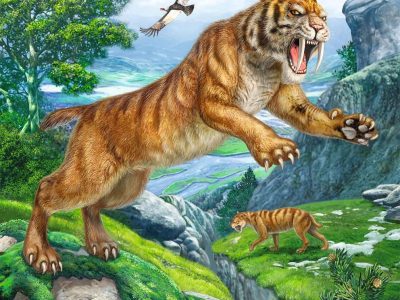 PUZZLE RAVENSBURGER 3X49 IZ PRADAVNINE - Image 4