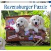 PUZZLE RAVENSBURGER 100 KUŽKI NA POTOVANJU