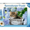 PUZZLE RAVENSBURGER 300 MUCA V CVETLIČNEM LONČKU