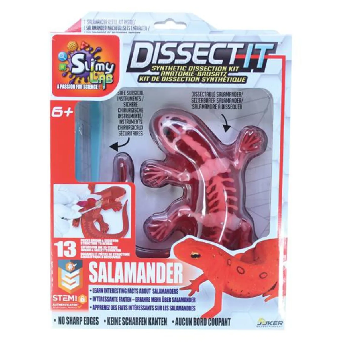 SLIMY MOČERAD DISSECT IT SET ZA SECIRANJE