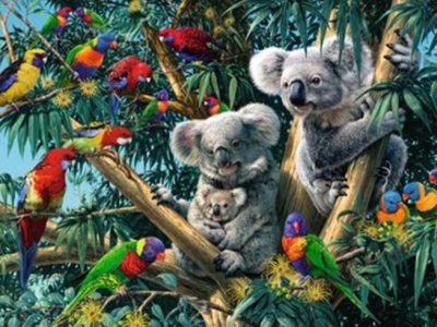 Alternative view of PUZZLE RAVENSBURGER 500 KOALE MED PAPIGAMI V PRAGOZDU