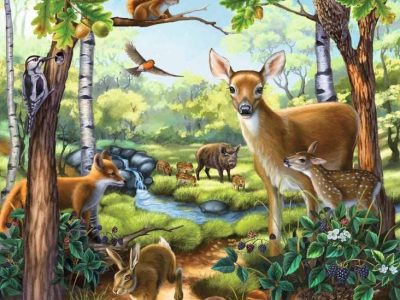 Alternative view of PUZZLE RAVENSBURGER 3X49 GOZDNE, DOMAČE IN DIVJE ŽIVALI