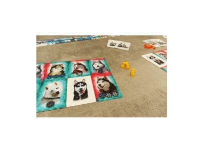 P400003_DRUŽABNA IGRA HIKE