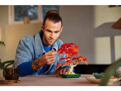 L10348_LEGO 10348 BOTANICALS BONSAJ