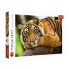 TREFL PUZZLE 500 TIGER