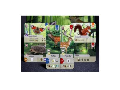 Alternative view of DRUŽABNA IGRA MEŠANI GOZD SLO