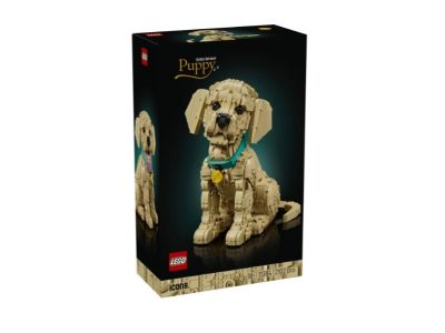 LEGO 11384 ICONS MLADIČEK ZLATEGA PRINAŠALCA